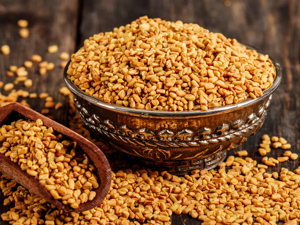 Fenugreek - Metabolic Health Support - GlucoZen Vitality Formula